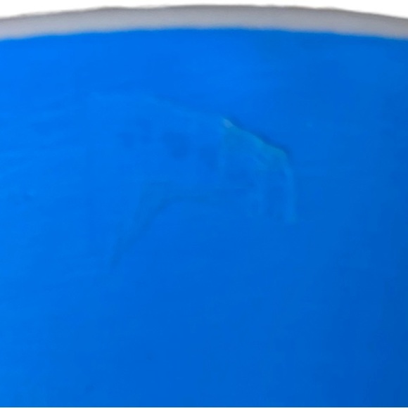 Day Of The Dead Blue/White Multicolored Skull Image on Coffee Mug 16 oz. 4.25” - Picture 6 of 9